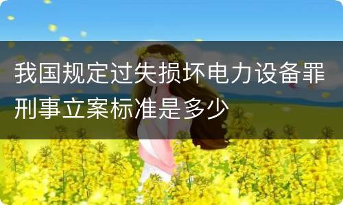 我国规定过失损坏电力设备罪刑事立案标准是多少