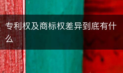 专利权及商标权差异到底有什么