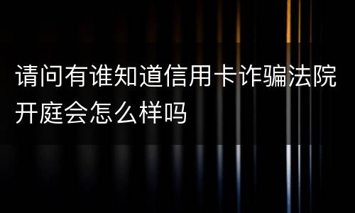 请问有谁知道信用卡诈骗法院开庭会怎么样吗