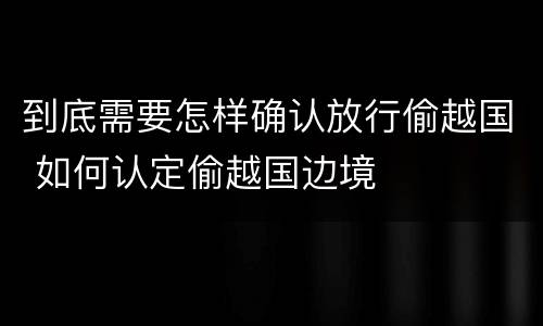 到底需要怎样确认放行偷越国 如何认定偷越国边境