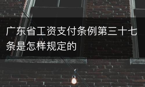 广东省工资支付条例第三十七条是怎样规定的