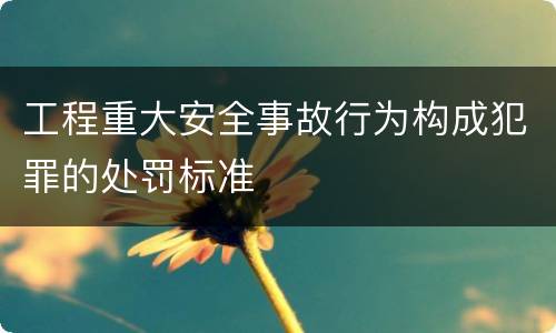 工程重大安全事故行为构成犯罪的处罚标准