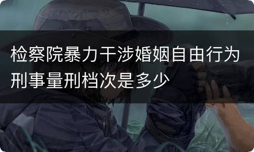 检察院暴力干涉婚姻自由行为刑事量刑档次是多少