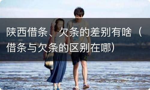 陕西借条、欠条的差别有啥（借条与欠条的区别在哪）
