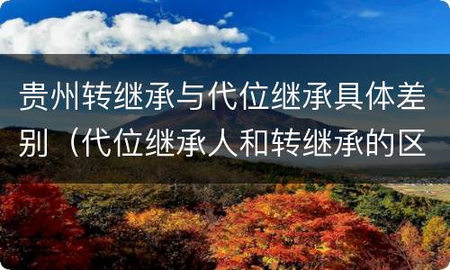 贵州转继承与代位继承具体差别（代位继承人和转继承的区别）