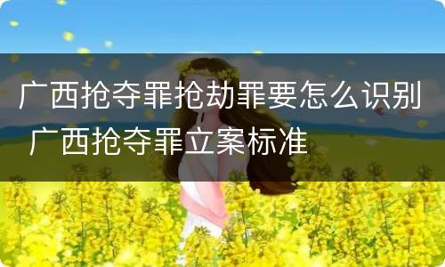 广西抢夺罪抢劫罪要怎么识别 广西抢夺罪立案标准