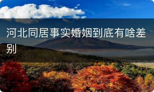 河北同居事实婚姻到底有啥差别