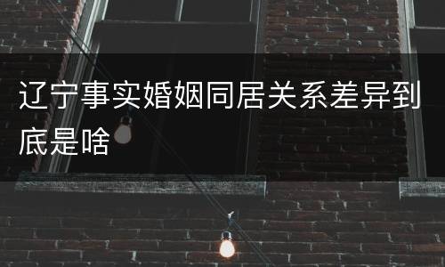 辽宁事实婚姻同居关系差异到底是啥
