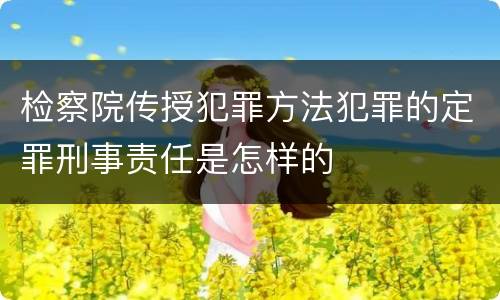 检察院传授犯罪方法犯罪的定罪刑事责任是怎样的