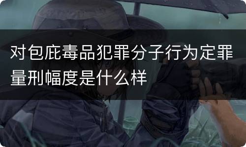 对包庇毒品犯罪分子行为定罪量刑幅度是什么样
