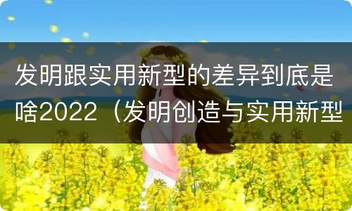 发明跟实用新型的差异到底是啥2022（发明创造与实用新型的区别）