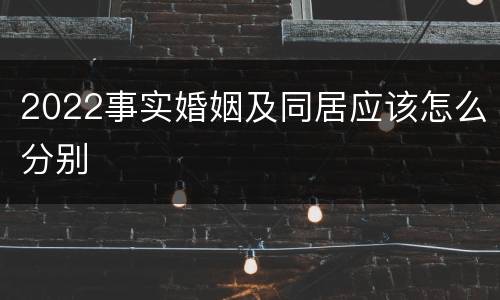 2022事实婚姻及同居应该怎么分别