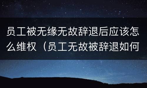 员工被无缘无故辞退后应该怎么维权（员工无故被辞退如何起诉）