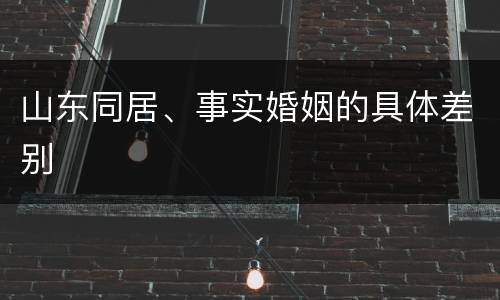 山东同居、事实婚姻的具体差别