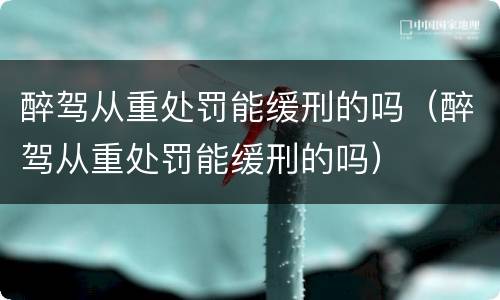 醉驾从重处罚能缓刑的吗（醉驾从重处罚能缓刑的吗）