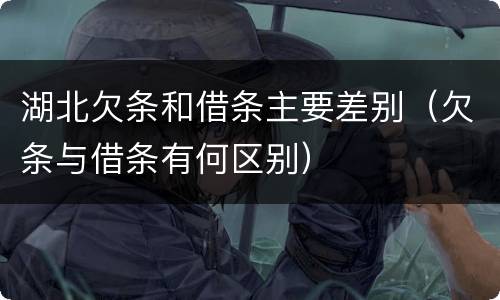 湖北欠条和借条主要差别（欠条与借条有何区别）