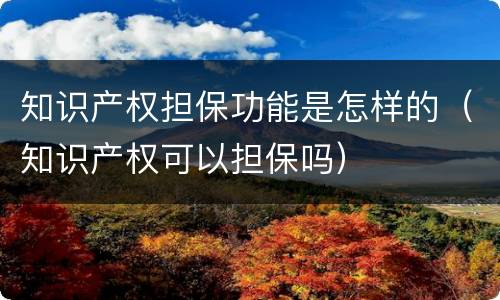 知识产权担保功能是怎样的（知识产权可以担保吗）