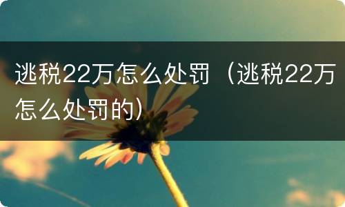 逃税22万怎么处罚（逃税22万怎么处罚的）