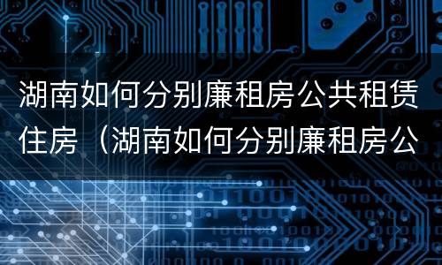 湖南如何分别廉租房公共租赁住房（湖南如何分别廉租房公共租赁住房和商品房）