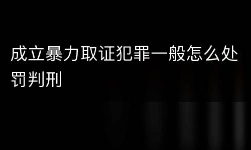 成立暴力取证犯罪一般怎么处罚判刑