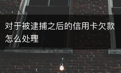 对于被逮捕之后的信用卡欠款怎么处理
