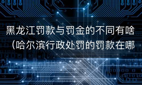 黑龙江罚款与罚金的不同有啥（哈尔滨行政处罚的罚款在哪交）