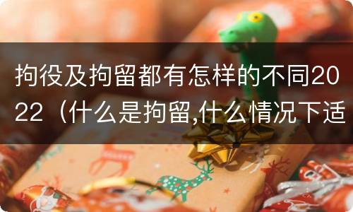 拘役及拘留都有怎样的不同2022（什么是拘留,什么情况下适用拘留）