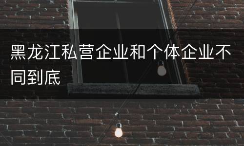 黑龙江私营企业和个体企业不同到底