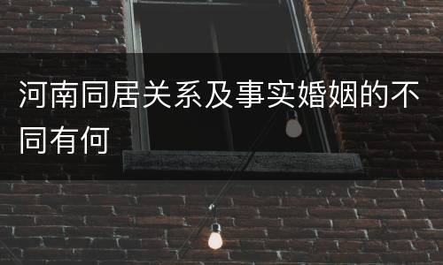 河南同居关系及事实婚姻的不同有何