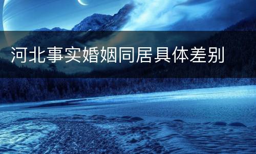 河北事实婚姻同居具体差别