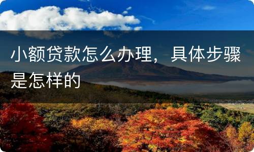 小额贷款怎么办理，具体步骤是怎样的