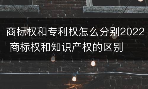 商标权和专利权怎么分别2022 商标权和知识产权的区别