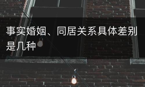 事实婚姻、同居关系具体差别是几种