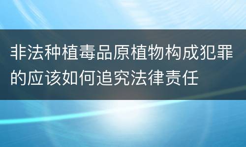 非法种植毒品原植物构成犯罪的应该如何追究法律责任