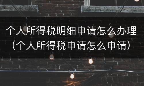个人所得税明细申请怎么办理（个人所得税申请怎么申请）