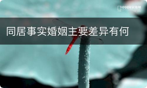 同居事实婚姻主要差异有何