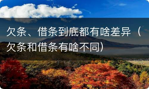 欠条、借条到底都有啥差异（欠条和借条有啥不同）
