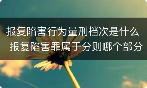 报复陷害行为量刑档次是什么 报复陷害罪属于分则哪个部分