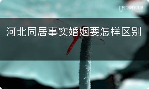 河北同居事实婚姻要怎样区别
