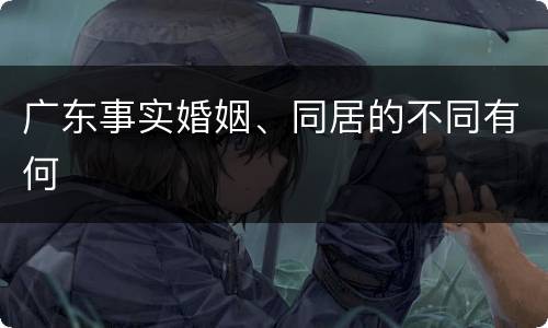 广东事实婚姻、同居的不同有何