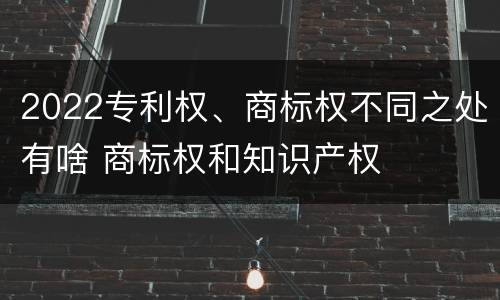 2022专利权、商标权不同之处有啥 商标权和知识产权