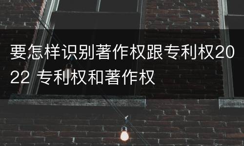 要怎样识别著作权跟专利权2022 专利权和著作权