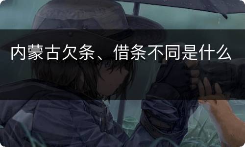 内蒙古欠条、借条不同是什么