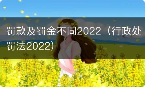 罚款及罚金不同2022（行政处罚法2022）