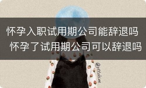 怀孕入职试用期公司能辞退吗 怀孕了试用期公司可以辞退吗
