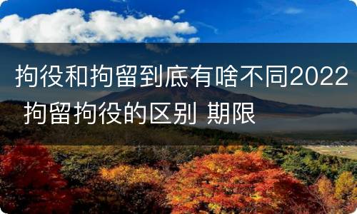 拘役和拘留到底有啥不同2022 拘留拘役的区别 期限