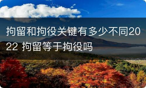 拘留和拘役关键有多少不同2022 拘留等于拘役吗