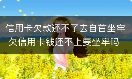 信用卡欠款还不了去自首坐牢 欠信用卡钱还不上要坐牢吗