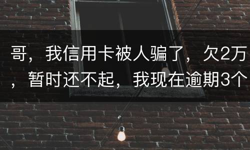 哥，我信用卡被人骗了，欠2万，暂时还不起，我现在逾期3个月了？我会不会坐牢。