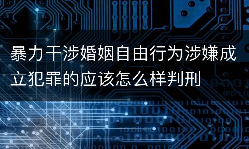 暴力干涉婚姻自由行为涉嫌成立犯罪的应该怎么样判刑